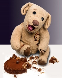 Publicity: Ted E Bare loves cake - Adam Shane Photography