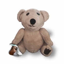 ted e bear toy